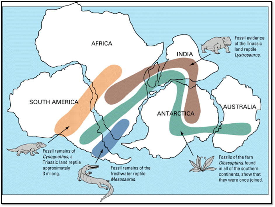 Plate tectonics, continental drift, spreading centers, subduction zones